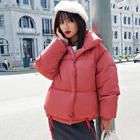 Korean Style 2019 Winter Jacket Women